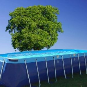 6ft x 21ft x 52in Caribbean Lap Pools