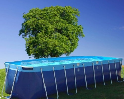 6ft x 41ft 52in Caribbean Lap Pools