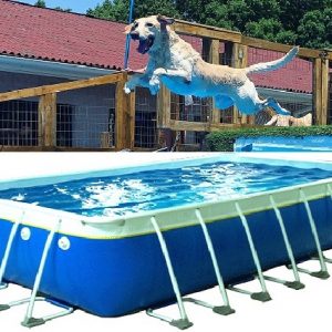 21ft x 45ft x 52in Fijian Dock Dog Diving Pools With Ionizers FS