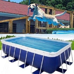 21ft x 48ft x 52in Tahitian Dock Dog Diving Pools
