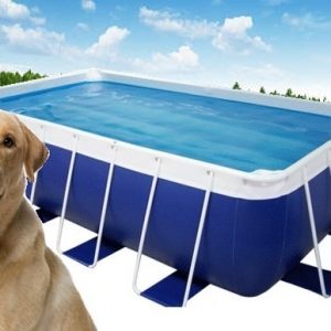20ft x 40ft x 52in Tahitian Dog Pools