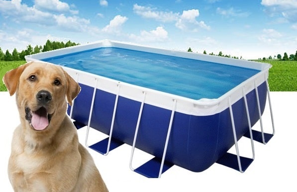 20ft x 40ft x 52in Tahitian Dog Pools