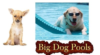 Above Ground Pools Video :Big Dog Pools
