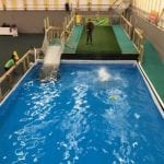 Dock Dog Diving Pools