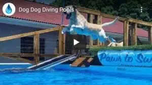 Dock Dogs Video