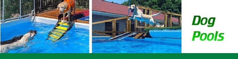 Dog Daycare Pools Video1 1