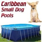 Small Dog Pools