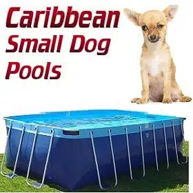 Small Dog Above Ground Pools