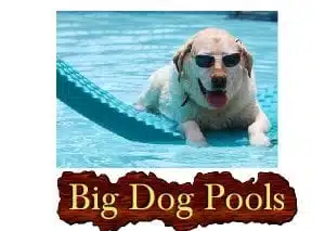 Big Dog Pools Video