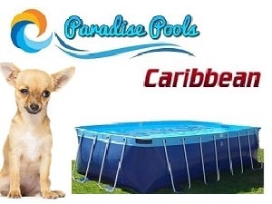 Caribbean Dog Pools