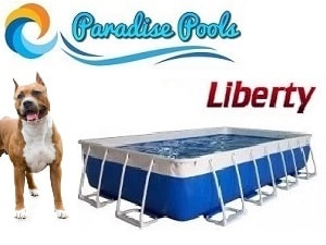 Family Dog Pools