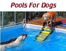Dog Pools