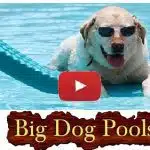 Big Dog Pools