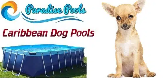 Home Use Dock Dog Diving Pool 