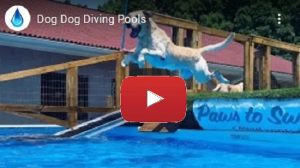 Dock Dog Video