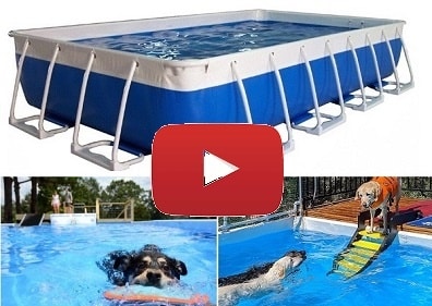 Above Ground Pools Video – Dog Pools