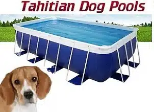 Tahitian Dog Pool