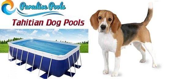 Tahitian Dog Pools