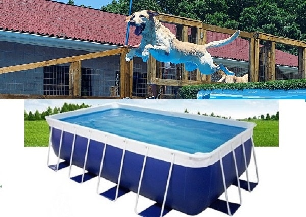 21ft x 30ft x 52in Tahitian Dock Dog Diving Pools With Ionizer