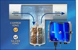 Pool Sanitizing Systems - Overview