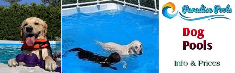 Dog Pools