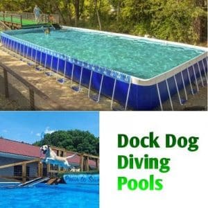 Dock Dog Diving Pools near me