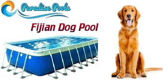 Fijian Dog Pools For Sale
