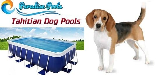 Tahitian Dog Pool For Sale