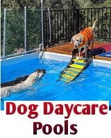 Dog Daycare Pools