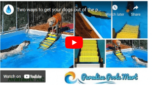 Dog pool exit ramp stairs