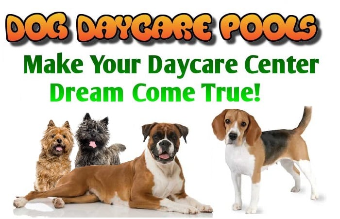 Dog Daycare Pools