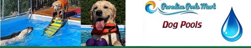 Top Ten Questions About Above Ground Pools For Dogs