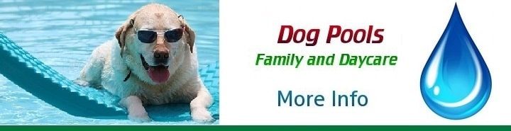 Above Ground Pools For Dogs for sale