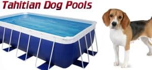 Tahitian Above Ground Pools For Dogs