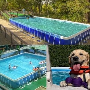 Multi Dog Pool