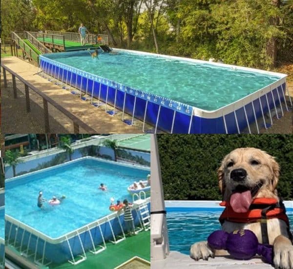 Multi Dog Pool