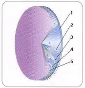 Liner Material
