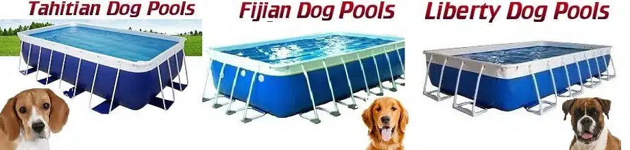 What Is The Best Pool For Dogs